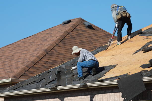 Best Roofing for New Construction  in Delavan, IL