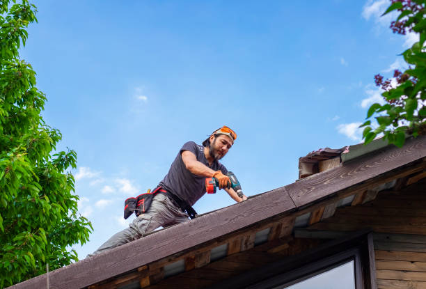 Best Flat Roofing  in Delavan, IL